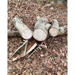 Basic Bushcraft Kursus 