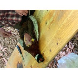 Basic Bushcraft Kursus 