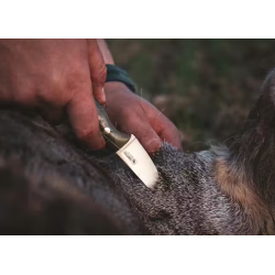 Casstrm -Safari Mini Hunter - Med Kydex og Lder blteholder 